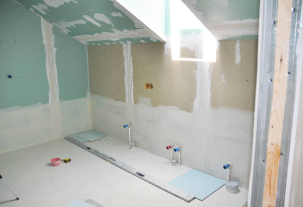 Best Attic Mold Removal  in Dover Plains, NY