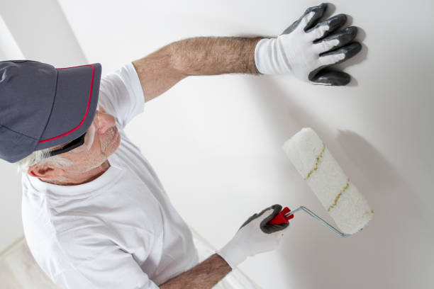 Mold Documentation for Insurance Claims in Dover Plains, NY