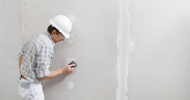 Reliable Dover Plains, NY Mold Removal Solutions